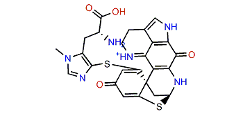 (6S,8S,7'S)-Discorhabdin K